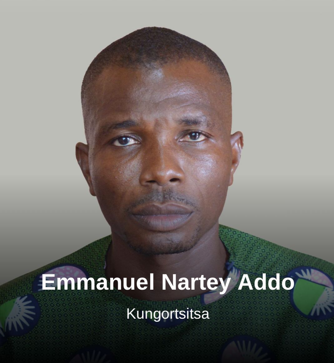 Emmanuel Nartey Addo